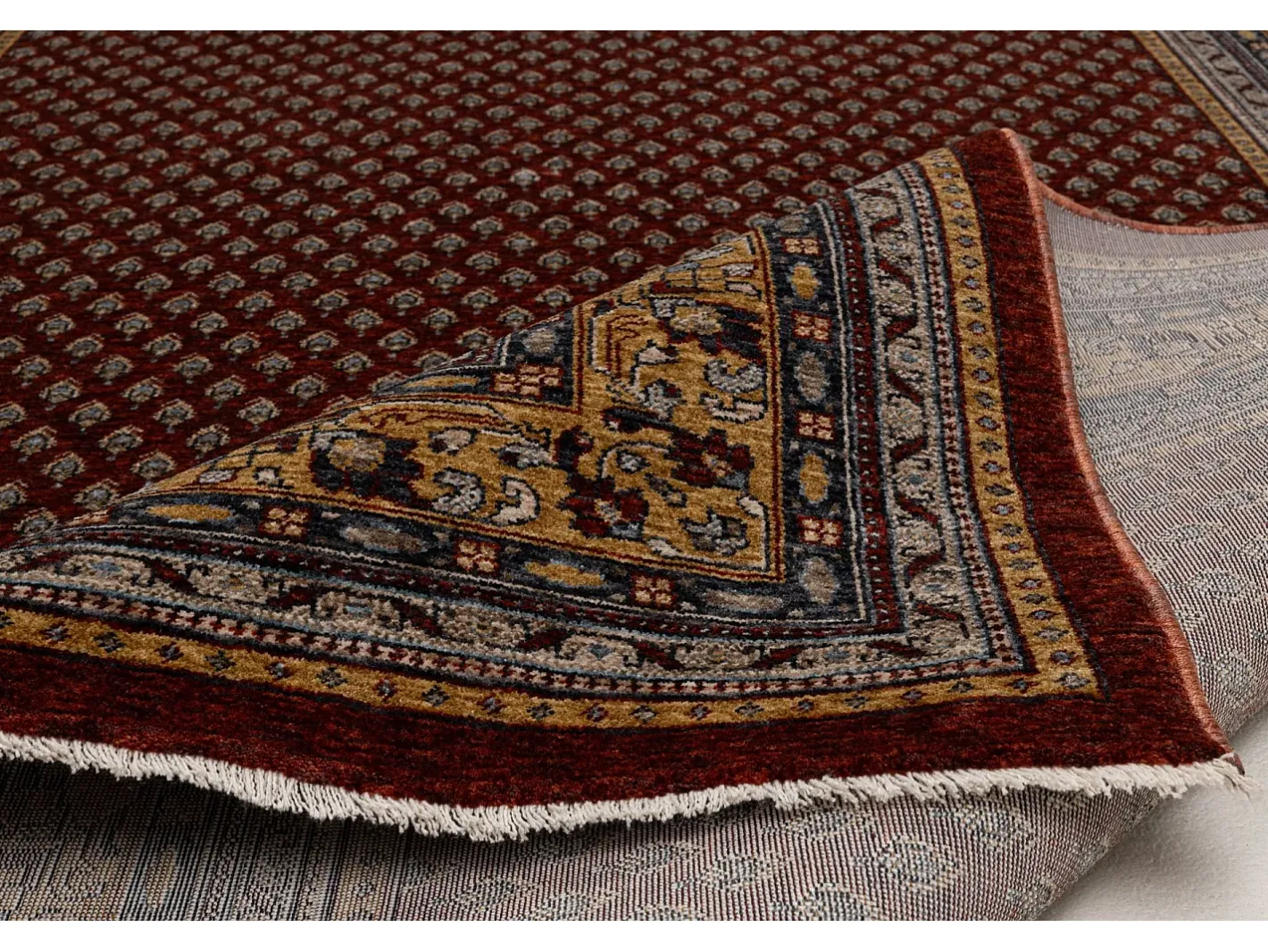 Alfombra con bordes de estilo oriental 240x290 cm Multi Beatrice Rojo Clearance