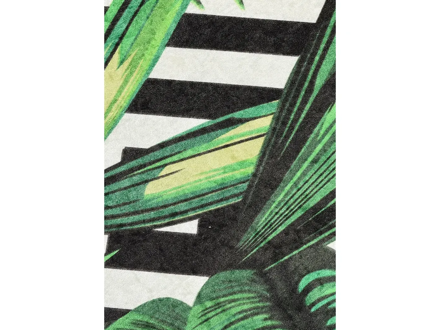 Clearance Alfombra de baño Tropic DJT (40 x 60) Multicolor