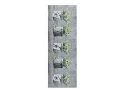 Discount Alfombra de cocina - Dibujos macetas - - 52 x 200 cm - SPRINTY Gris