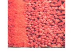 Alfombra de cocina lavable Spice 60x300 cm ES158387 Multicolor Discount