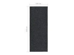 Clicnbuy Alfombra De Cocina-Alfombra de pasillo atrapa suciedad 100x250 cm Gris antracita
