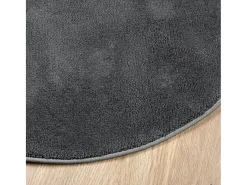 Clicnbuy Alfombra Redonda-Alfombra de pelo corto OVIEDO Ø 200 cm Gris antracita