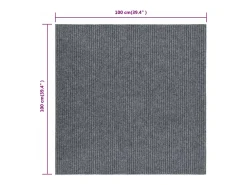 Clicnbuy Alfombra De Cocina-Alfombra felpudo atrapasuciedad 100x100 cm Gris