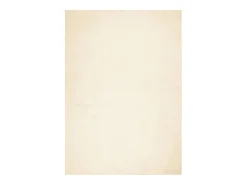 Clearance Alfombra HUARTE de pelo corto suave y lavable color crema 200x280 cm Blanco