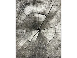 the carpet Alfombra De Salón-Alfombra Marla Diseño Moderno Árbol, Natural, 200x290 cm Color natural oscuro