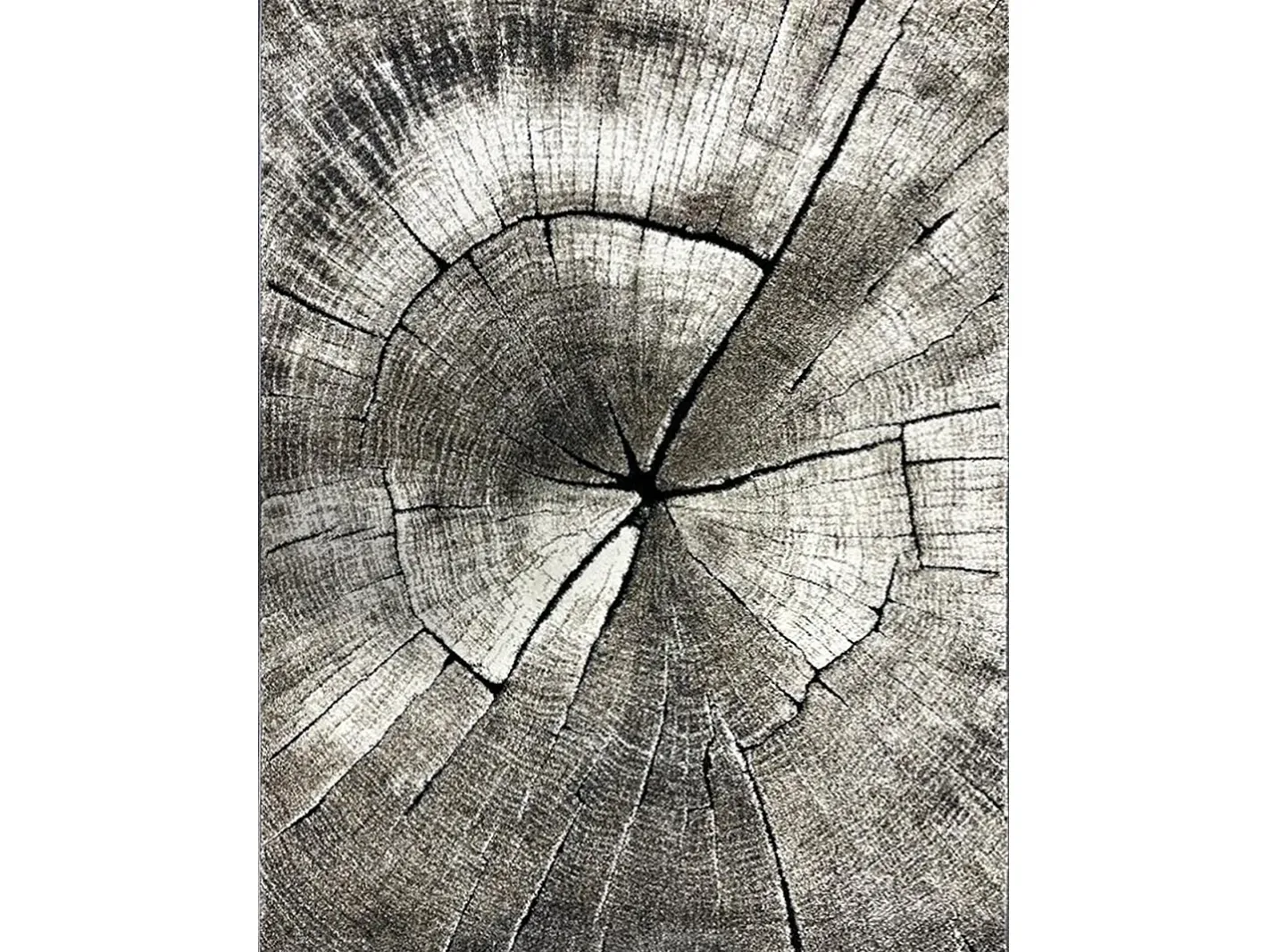 the carpet Alfombra Marla Diseño Moderno Árbol, Natural, 120x170 cm Color natural oscuro New