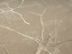 the carpet Alfombra De Salón-Alfombra Mila Brillante Naturaleza, , 80 x 150 cm Beige