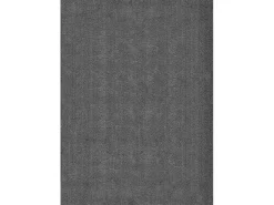 the carpet Alfombra pelo corto lavable antideslizante - Antracita - 200 x 280 cm - RELAX Gris antracita Best