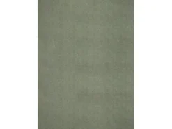 New the carpet Alfombra pelo corto lavable antideslizante - Bosque - 240 x 340 cm - RELAX Verde
