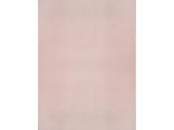 the carpet Alfombra De Salón-Alfombra pelo corto lavable antideslizante - Rosa - 120 x 160 cm - RELAX Rosa palo