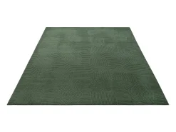 the carpet Alfombra Rio ala estar antideslizante arco, Bosque, 140 x 200 cm Verde esmeralda Best