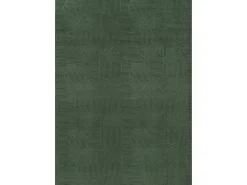 the carpet Alfombra Rio ala estar antideslizante arco, Bosque, 140 x 200 cm Verde esmeralda Best