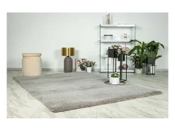 Meublorama Alfombra 290x200cm, diseño D005M color plata - Confort y elegancia para su interior. Gris New
