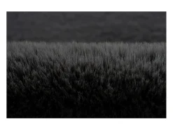 Online Meublorama Alfombra 150x80cm, diseño H008N color grafito - Confort y elegancia para su interior. Gris antracita