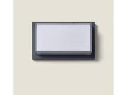 Ledkia Iluminación Exterior-Aplique de Pared Exterior LED 12W Aluminio CCT Seleccionable Doble Difusor Caelia Antracita Transparente