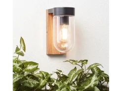 Outlet BRAYTRON Aplique de pared exterior, madera oscura, metal negro y cristal, casquillo E27, 1 x 40 W Transparente