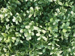 MCW Planta Artificial-Arbusto artificial -L77, Blanco