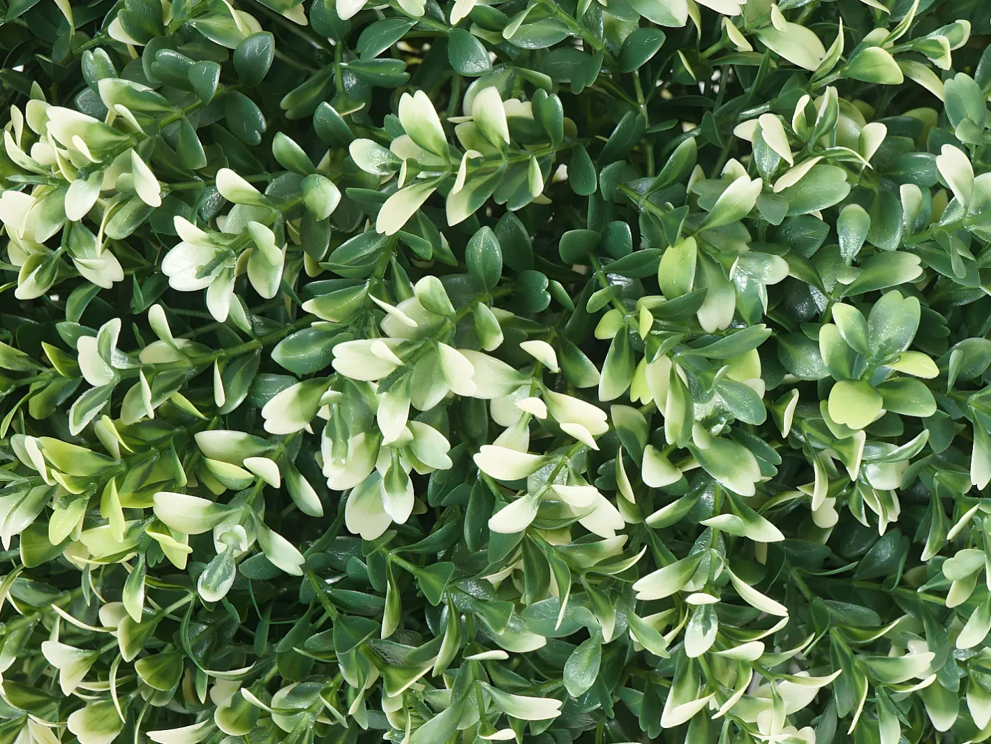 MCW Planta Artificial-Arbusto artificial -L77, Blanco