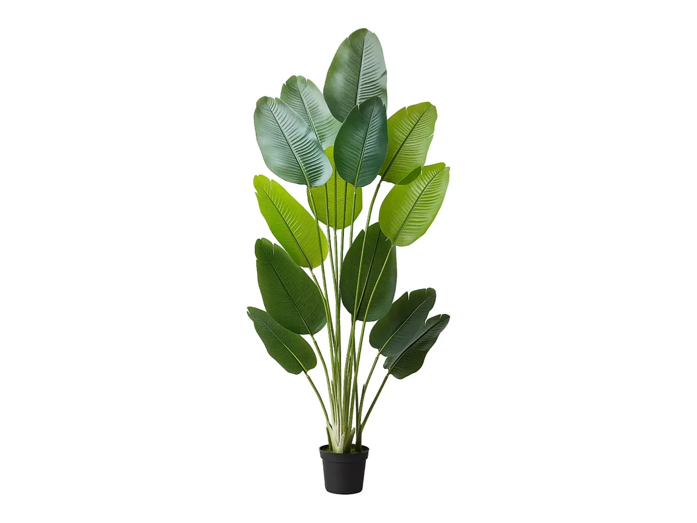 Best Ave del Paraíso Artificial SucceBuy, 1,8 m, Planta Artificial Tropical en Maceta, Falso Árbol Tropical, Planta Falsa Hojas Polietileno para Salón Verde