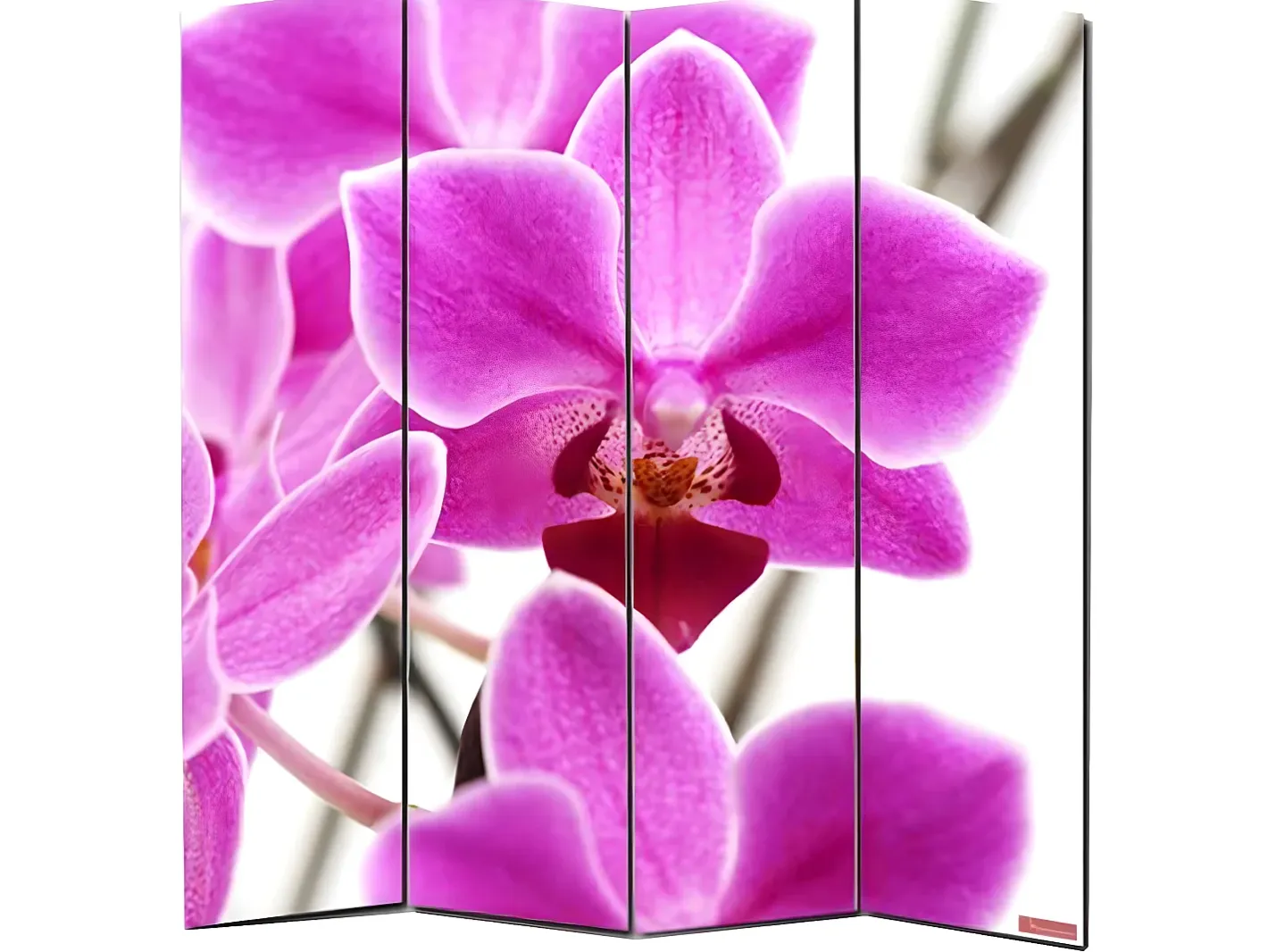 MCW Biombo-Biombo fotográfico Bagheria, 180 x 160 cm, orquídea Multicolor