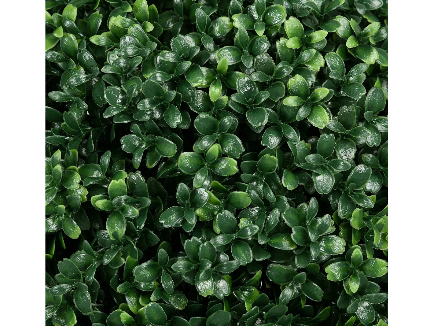 Outlet Buxus artificial con tallo, protección UV, plástico, (40x40x70 cm) Verde