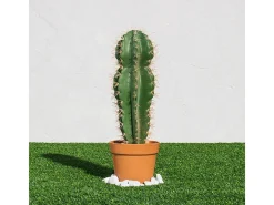 Planta Artificial-Cactus artificial stetsonia coryne 64 cm 64 Verde