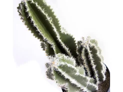 Planta Artificial-Cactus castillo de hadas 62 cm nortene 62 CM Verde