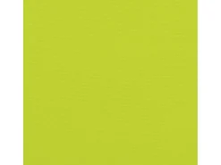 Clicnbuy Cojines para palets 3 unidades tela Oxford claro Verde Hot