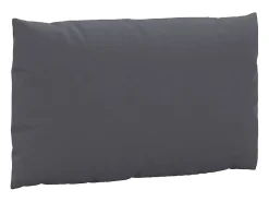 Clicnbuy Ropa De Casa-Cojines para palets 2 unidades tela Gris antracita
