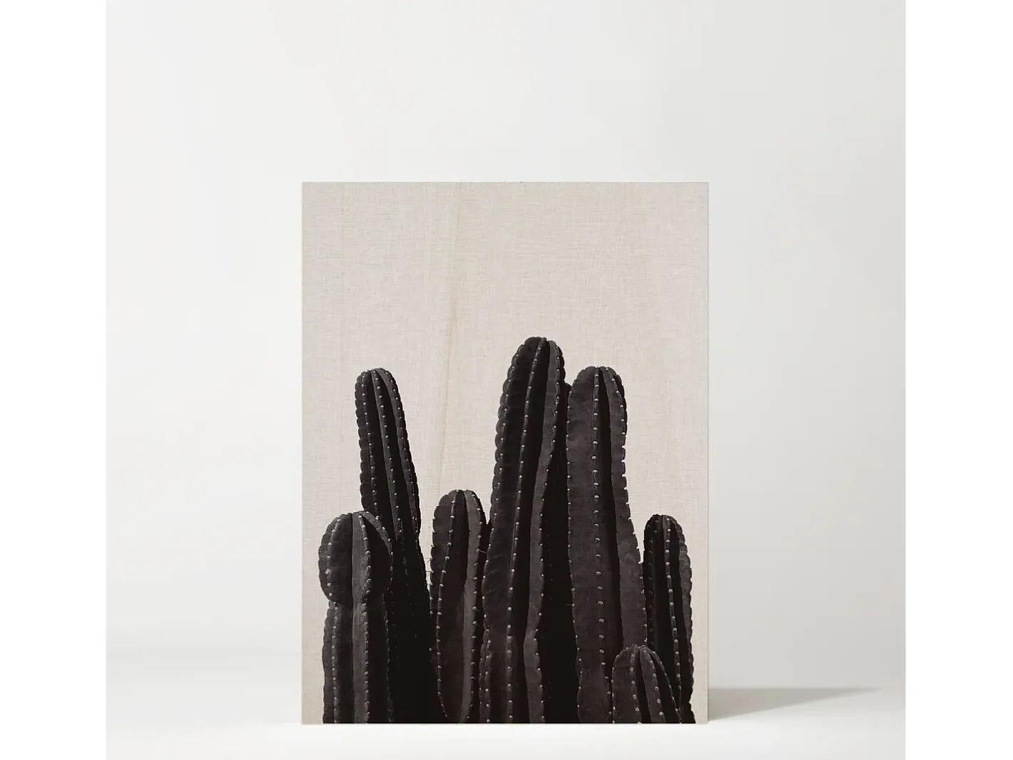 Best DECOWOOD Cuadro de madera Cactus Multicolor