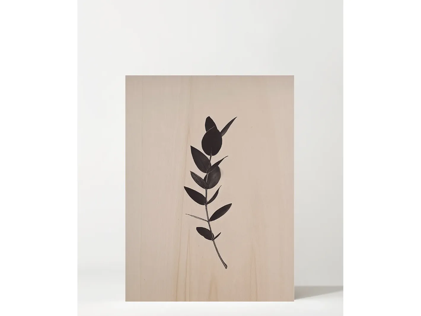 DECOWOOD Cuadro-Cuadro de madera Green Plant II Multicolor