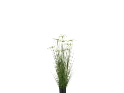 J-Line Cyperus alternifolius 8 cabezas en maceta de plástico 30x30x132 cm Verde Sale