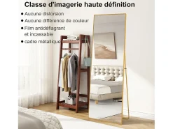 Espejo de pie rectangular 164×54 cm con marco – Diseño minimalista y moderno Dorado Best