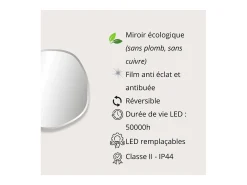 Clearance Espejo LED orgánico D60/80cm en vidrio FLUEA Plateado