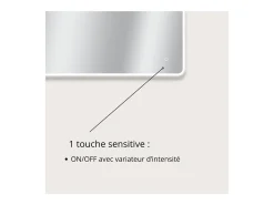 Espejo LED rectangular L60/80/90/120cm con retroiluminación MIRALUX Plateado Hot