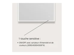 Espejo LED rectangular L60/80cm de vidrio ECLIPS Plateado Sale