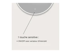 Outlet Espejo LED redondo D60/120cm de vidrio CANDRA Plateado