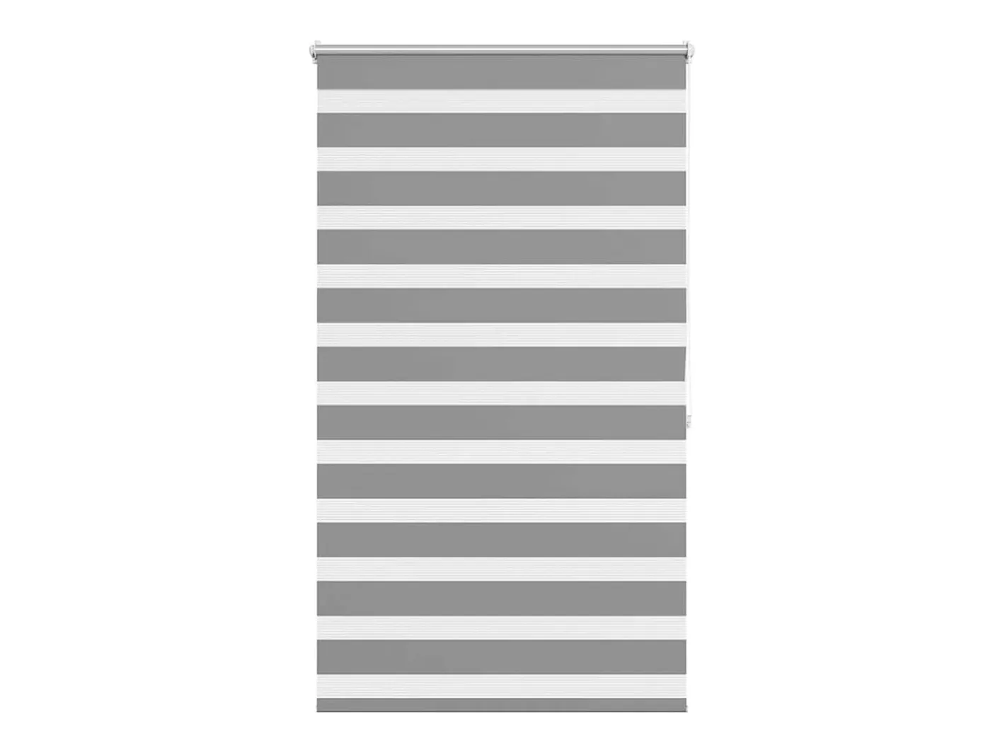 Clearance Estor enrollable de 100 x 175 cm Gris