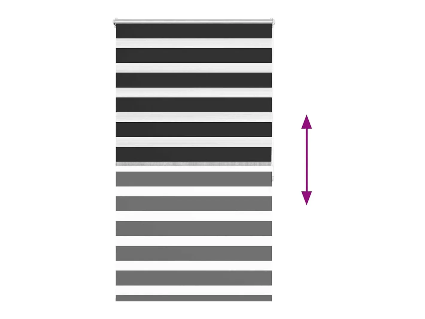 Best Estor enrollable de 100 x 175 cm Negro