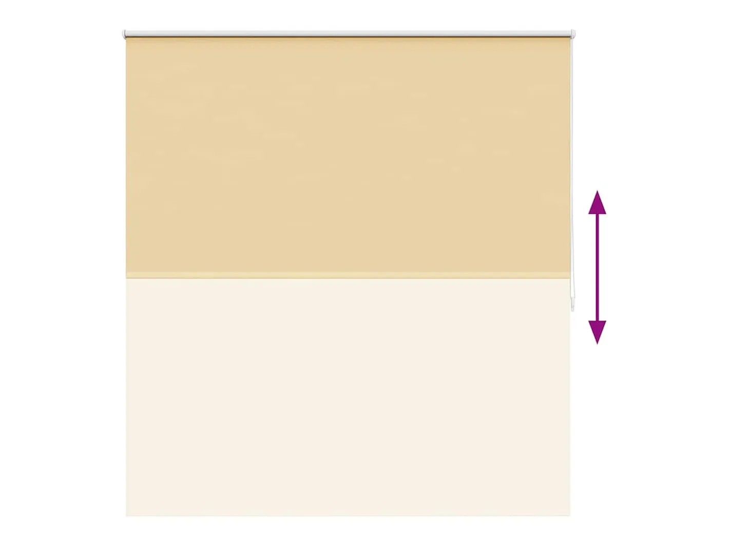 Online Estor enrollable opaco 160 x 175 cm Beige