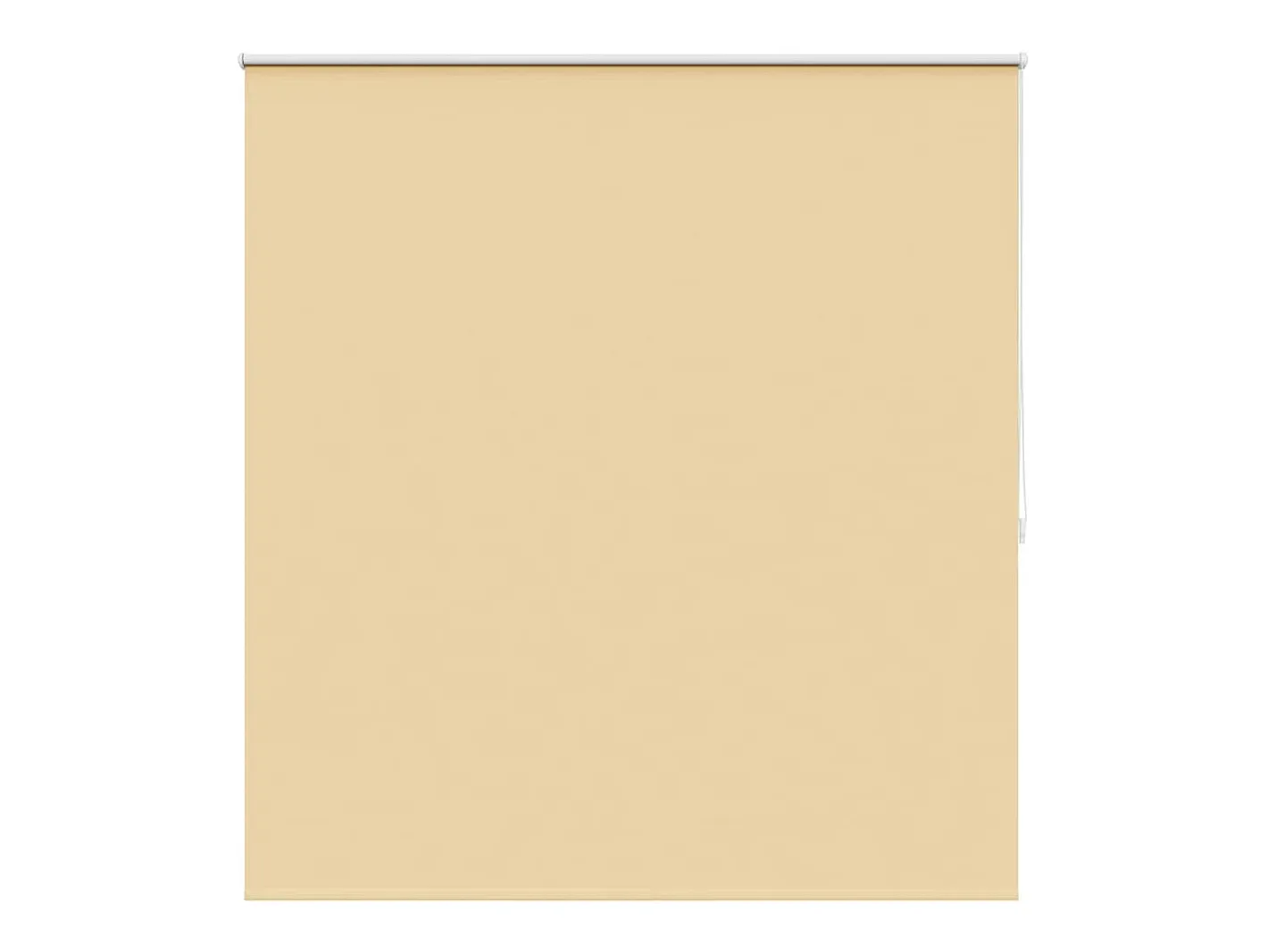 Estor enrollable opaco 140 x 175 cm marrón Marru00f3n Hot