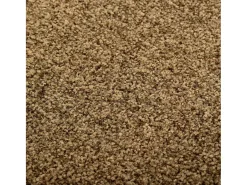 Online Felpudo lavable marrón 90x150 cm ES145504 Marru00f3n