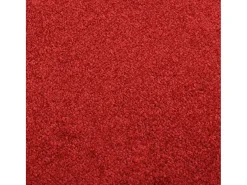 Felpudo 60x80 cm ES357496 Rojo