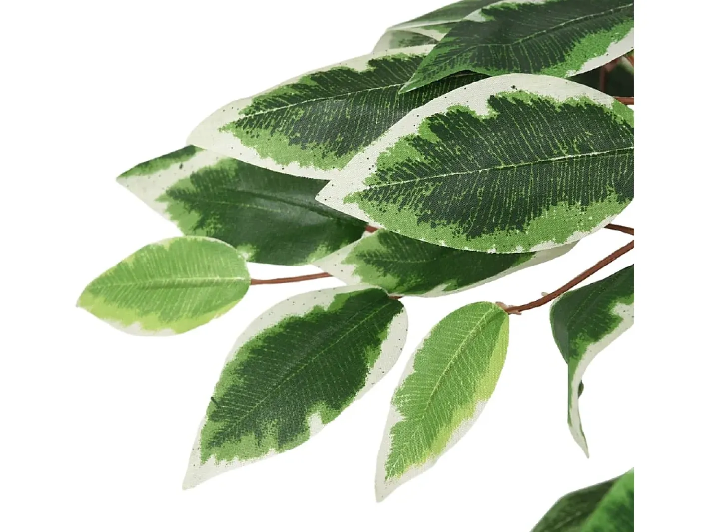 Sale Ficus artificial 1008 hojas 180 cm Verde