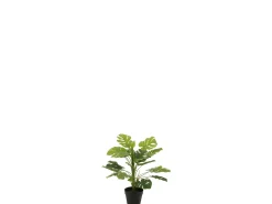 J-Line Filodendro en maceta de plástico de 15x15x54 cm Verde New