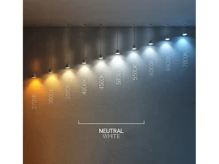 Online Ledkia Foco Proyector LED 100W 145 lm/W IP65 HE Frost PRO Regulable 4000K Blanco Neutro Negro