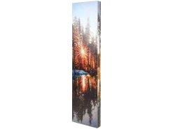 Best MCW Fotopantalla con aislamiento acústico -L55, 180x122cm Waldsee Multicolor