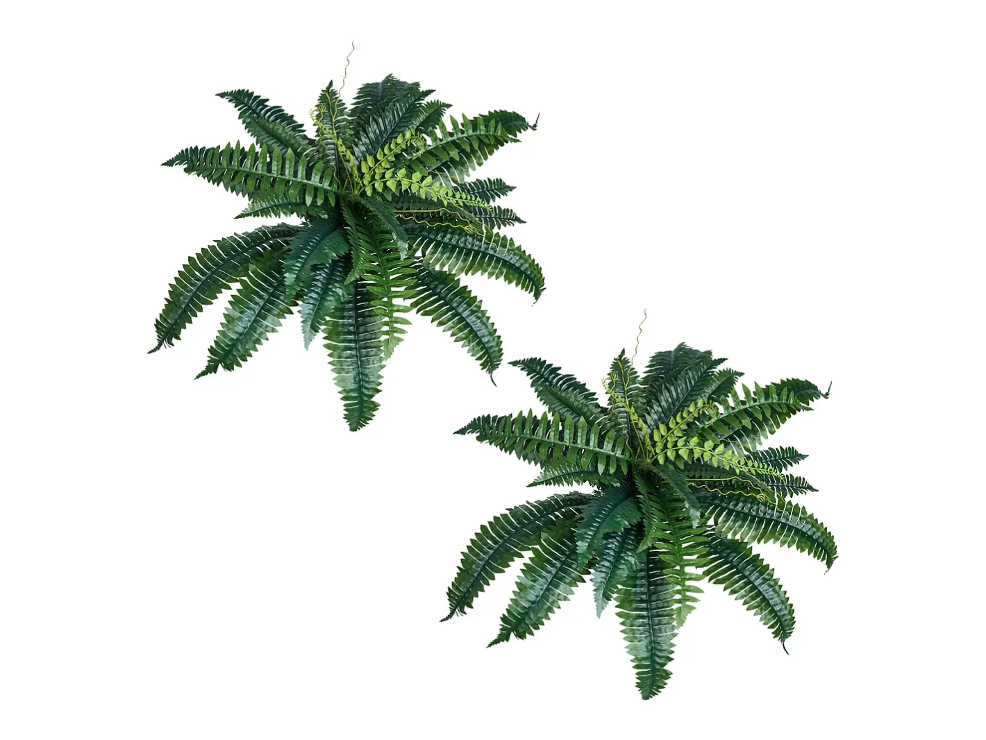 Helecho Artificial SucceBuy, Pack de 2, Helecho Falso de Boston 80-86 cm, 30 Hojas, Colgante, Decoración Interior/Exterior, Hogar/Oficina, Maceta No Incluida Verde