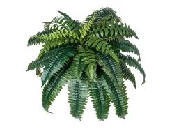 Best Helecho Artificial SucceBuy, Pack de 2, Helecho Falso de Boston 90-100 cm, 35 Hojas, Colgante, Decoración Interior/Exterior, Hogar/Oficina, Maceta No Incluida Verde