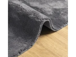 Garden Furniture Alfombra De Salón-Hester Alfombra de pelo corto suave lavable HUARTE antracita 60x110 cm Gris antracita